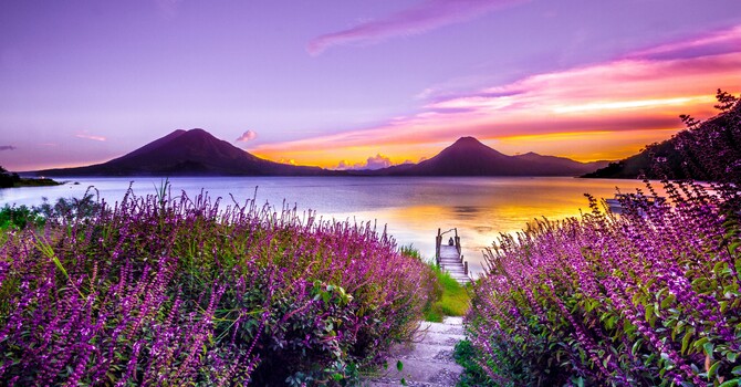 Clinical Supervision